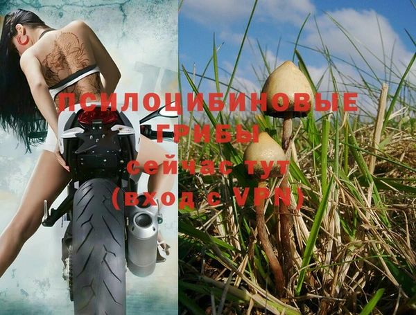 мефедрон Зеленодольск