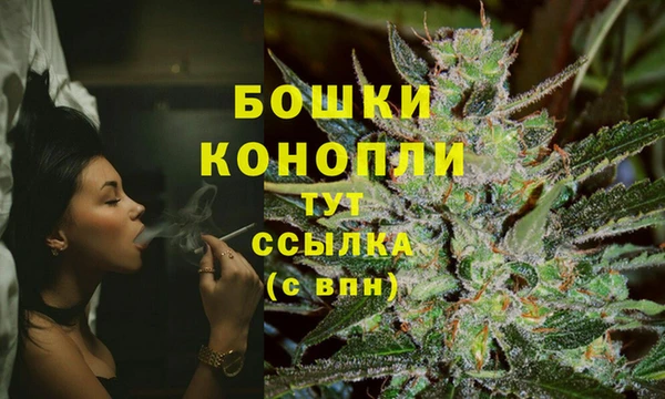 шишки Сосновый Бор