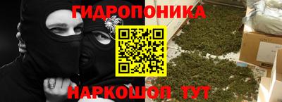 сатива Беслан