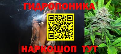 сатива Беслан