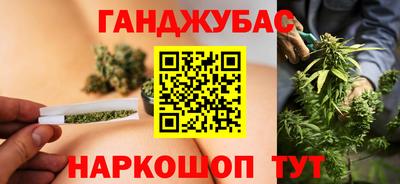 сатива Беслан