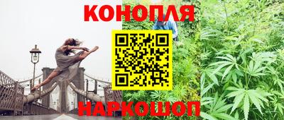 шишки Бийск
