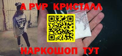 шишки Бийск