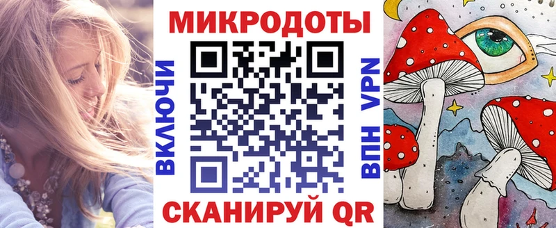 Псилоцибиновые грибы Cubensis blacksprut вход Норильск даркнет сайт