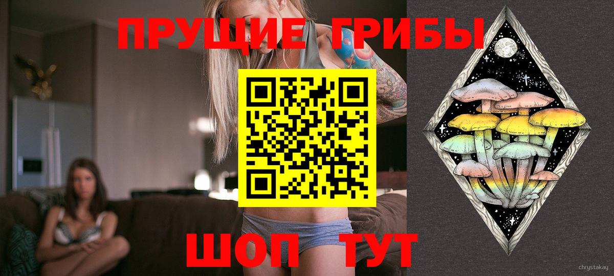 Псилоцибиновые грибы мицелий  Псилоцибиновые грибы мухоморы  Вход с VPN  Норильск 