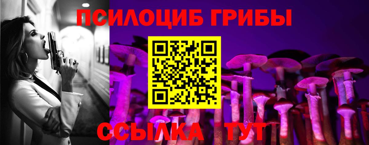 Псилоцибиновые грибы Psilocybine cubensis Норильск